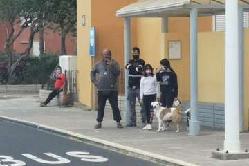  Itinerario de este miércoles de los Reyes Magos por los barrios de Telde/TA y Antonio Alí.